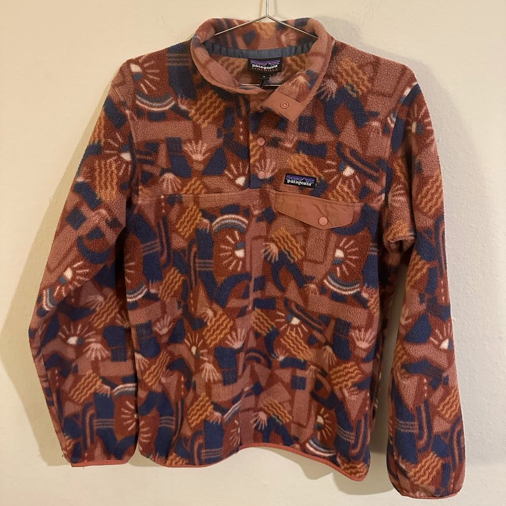 RARE Patagonia Synchilla Canyon Block Big Sisu Snap-T Fleece